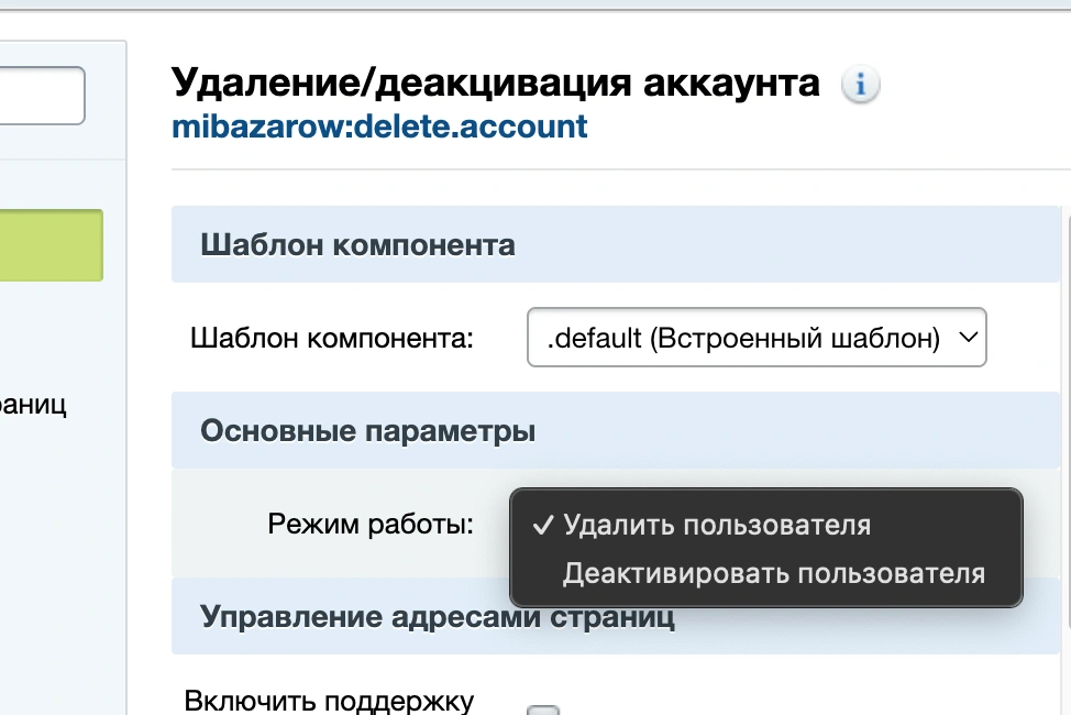 Пример настроки компонента в Битрикс
