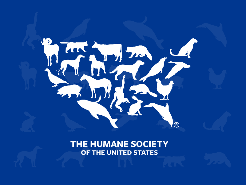 Логотип Общества защиты животных